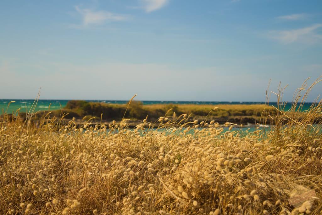 Borgo Degli Artisti Villa Ostuni Luaran gambar